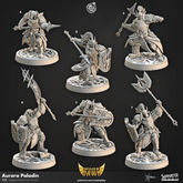 Aurora Paladin 3D-printed model
